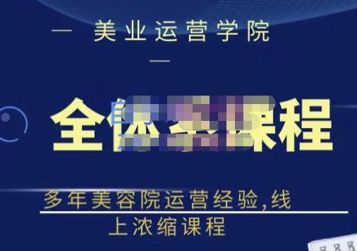 网红美容院全套营销落地课程，多年美容院运营经验，线上浓缩课程-枫叶微课堂