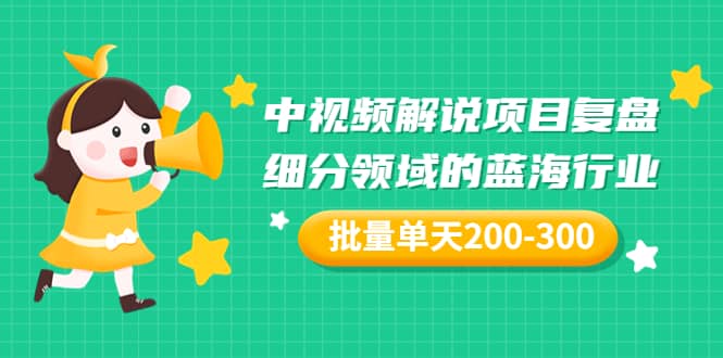 某付费文章：中视频解说项目复盘：细分领域的蓝海行业 批量单天200-300收益-枫叶微课堂