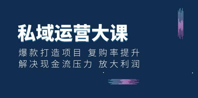 私域运营大课：爆款打造项目 复购率提升 解决现金流压力 放大利润-枫叶微课堂