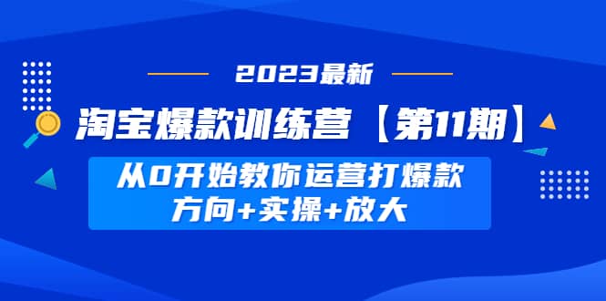 淘宝爆款训练营【第11期】 从0开始教你运营打爆款，方向+实操+放大-枫叶微课堂