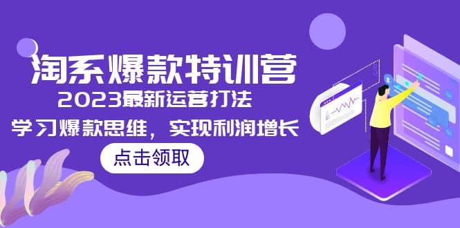 2023淘系爆款特训营，2023最新运营打法，学习爆款思维，实现利润增长-枫叶微课堂