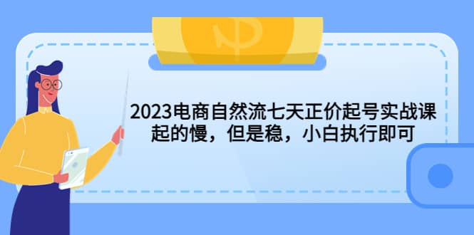 2023电商自然流七天正价起号实战课：起的慢，但是稳，小白执行即可-枫叶微课堂