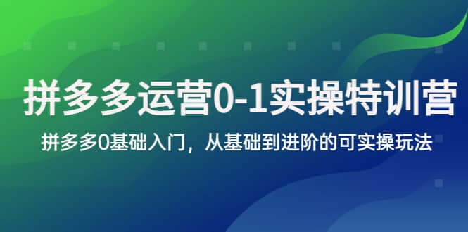拼多多-运营0-1实操训练营，拼多多0基础入门，从基础到进阶的可实操玩法-枫叶微课堂
