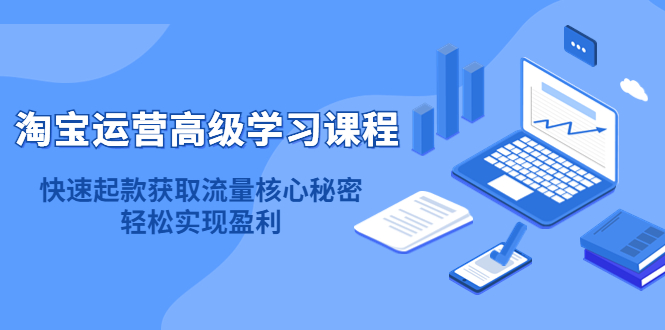 淘宝运营高级学习课程：快速获取流量核心秘密，轻松实现盈利！-枫叶微课堂