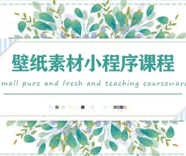 闪闪壁纸号运营教程，抓住图文风口，快速吸粉变现-枫叶微课堂