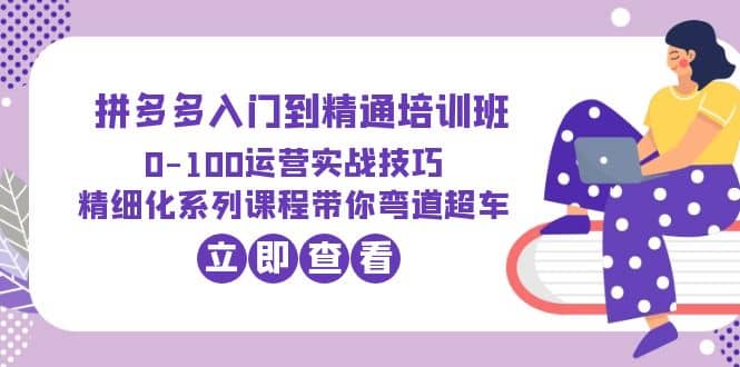 2023拼多多入门到精通培训班：0-100运营实战技巧 精细化系列课带你弯道超车-枫叶微课堂