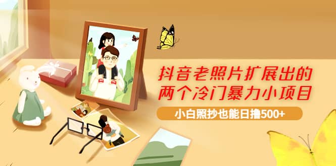 抖音老照片扩展出的两个冷门暴力小项目，小白照抄也能日撸500+-枫叶微课堂