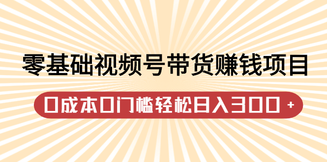 零基础视频号带货赚钱项目，0成本0门槛轻松日入300+【视频教程】-枫叶微课堂