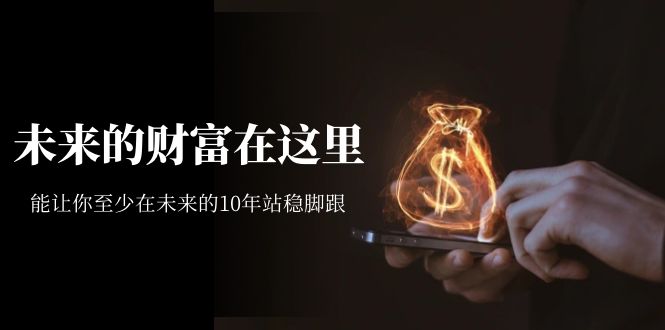 某收费文章《未来的财富在这里》能让你至少在未来的10年站稳脚跟-枫叶微课堂