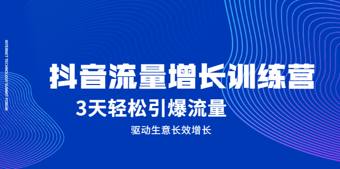 抖音流量增长训练营，3天轻松引爆流量，驱动生意长效增长-枫叶微课堂