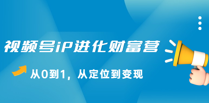 视频号iP进化财富营第1期，21天从0到1，从定位到变现-枫叶微课堂