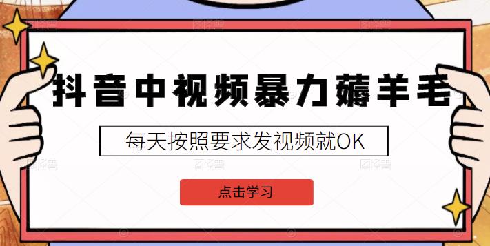 2022抖音中视频暴力薅羊毛白嫖项目：新号每天20块，老号几天几百块，可多号-枫叶微课堂