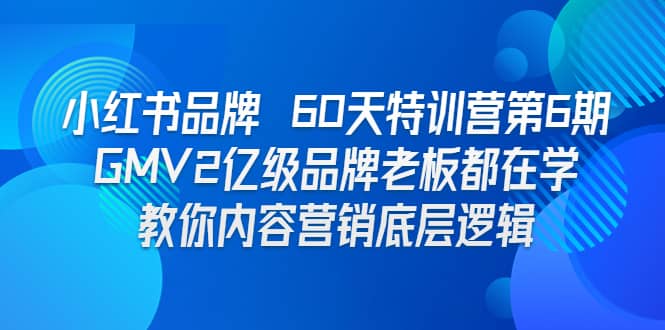 小红书品牌 60天特训营第6期 GMV2亿级品牌老板都在学 教你内容营销底层逻辑-枫叶微课堂