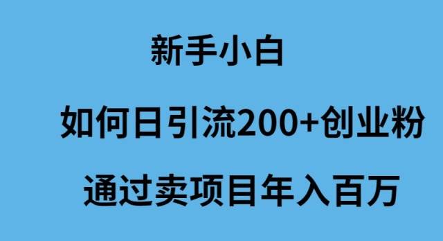 新手小白如何日引流200+创业粉通过卖项目年入百万-枫叶微课堂