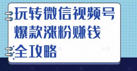 玩转微信视频号爆款涨粉赚钱全攻略，让你快速抓住流量风口，收获红利财富-枫叶微课堂