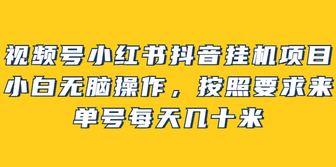 视频号小红书抖音挂机项目，小白无脑操作，按照要求来，单号每天几十米-枫叶微课堂