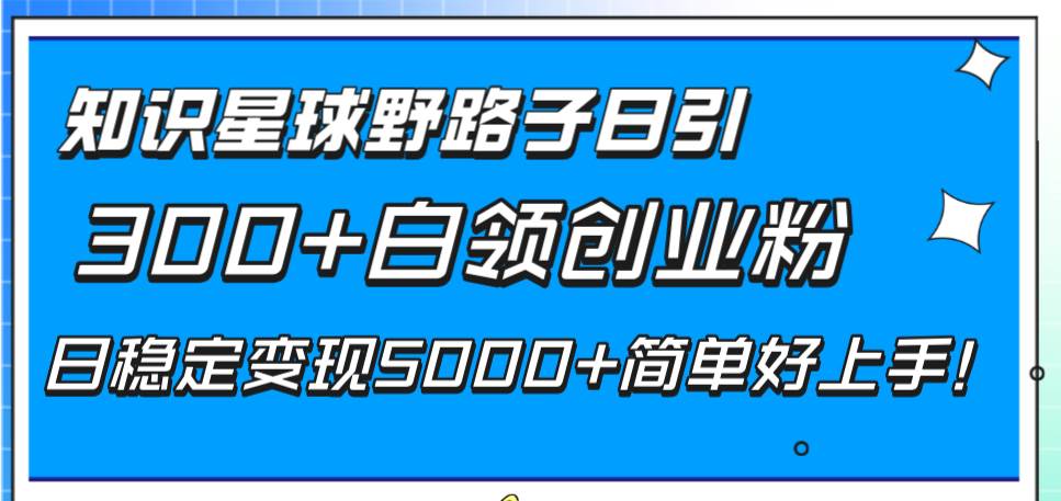知识星球野路子日引300+白领创业粉，日稳定变现5000+简单好上手！-枫叶微课堂