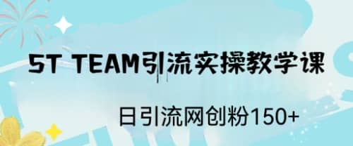 ST TEAM引流实操课，日引流网创粉100+-枫叶微课堂