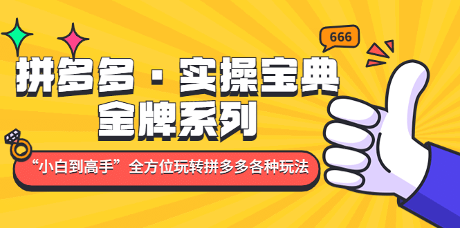 拼多多·实操宝典：金牌系列“小白到高手”带你全方位玩转拼多多各种玩法-枫叶微课堂