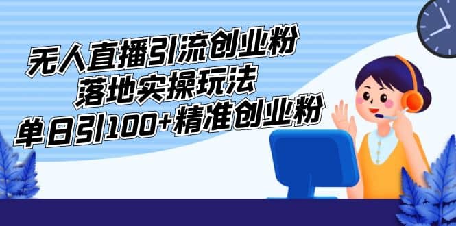 外面收费3980的无人直播引流创业粉落地实操玩法，单日引100+精准创业粉-枫叶微课堂