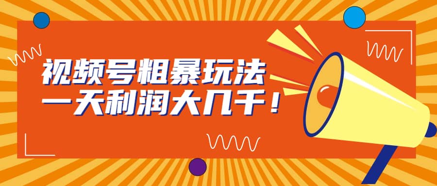 视频号粗暴玩法，一天利润大几千-枫叶微课堂