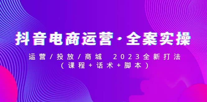 抖音电商运营·全案实操：运营/投放/商城 2023全新打法-枫叶微课堂