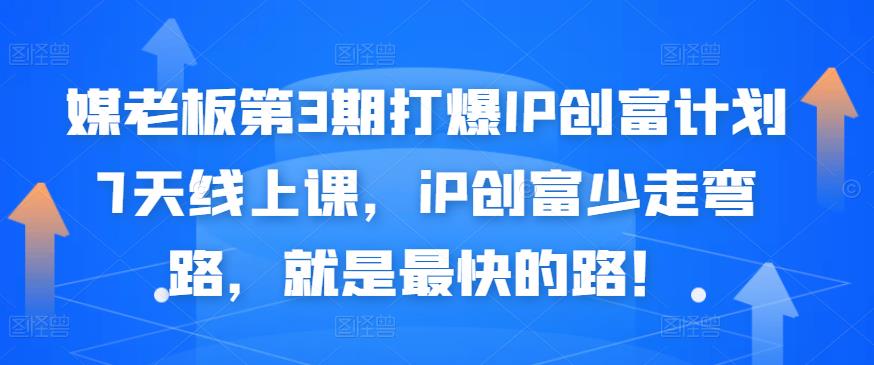 媒老板第3期打爆IP创富计划7天线上课，iP创富少走弯路，就是最快的路！-枫叶微课堂