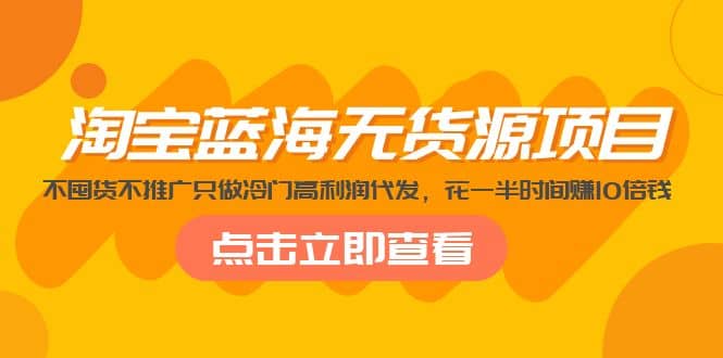 淘宝蓝海无货源项目，不囤货不推广只做冷门高利润代发-枫叶微课堂