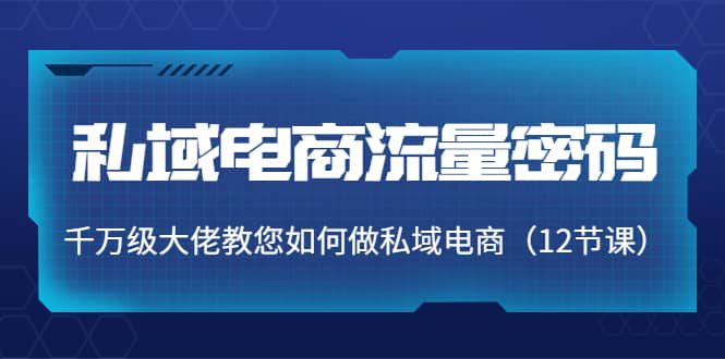 私域电商流量密码：千万级大佬教您如何做私域电商（12节课）-枫叶微课堂