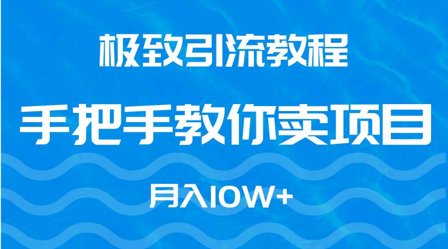 极致引流教程，手把手教你卖项目，月入10W+-枫叶微课堂