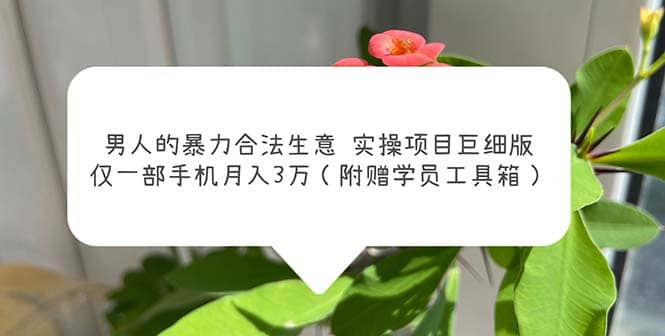 男人的暴力合法生意实操项目巨细版：仅一部手机月入3w（附赠学员工具箱）-枫叶微课堂