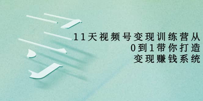 好望角·11天视频号变现训练营，从0到1打造变现赚钱系统（价值398）-枫叶微课堂