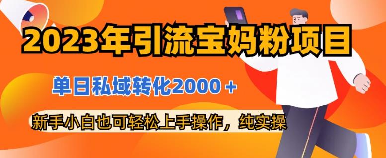 2023年引流宝妈粉项目，单日私域转化2000＋，新手小白也可轻松上手操作，纯实操-枫叶微课堂