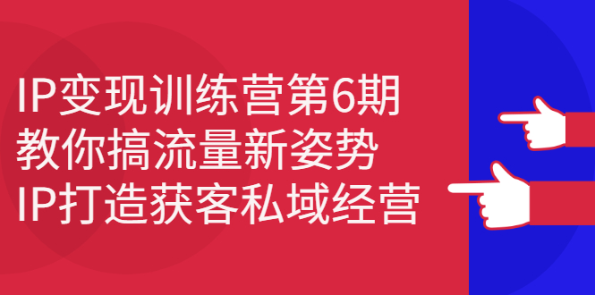 IP变现训练营第6期：教你搞流量新姿势，IP打造获客私域经营-枫叶微课堂