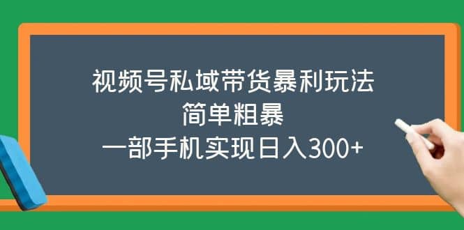 视频号私域带货暴利玩法，简单粗暴-枫叶微课堂