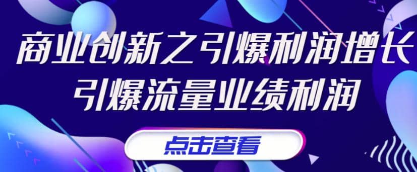 《商业创新之引爆利润增长》引爆流量业绩利润-枫叶微课堂