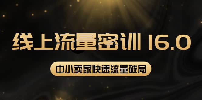 2022秋秋线上流量密训16.0：包含 暴力引流10W+中小卖家流量破局技巧 等等！-枫叶微课堂