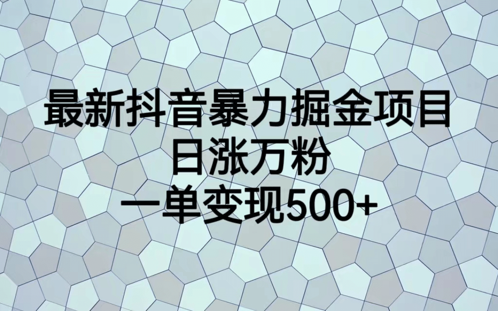 最火热的抖音暴力掘金项目，日涨万粉，多种变现方式，一单变现可达500+-枫叶微课堂
