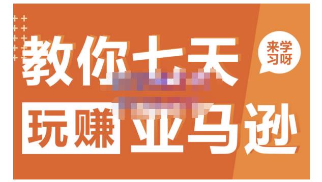 晟尧跨境·教你七天玩赚亚马逊，教你轻松玩赚亚马逊，适合小白学习-枫叶微课堂