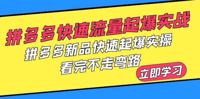 拼多多-快速流量起爆实战，拼多多新品快速起爆实操，看完不走弯路-枫叶微课堂