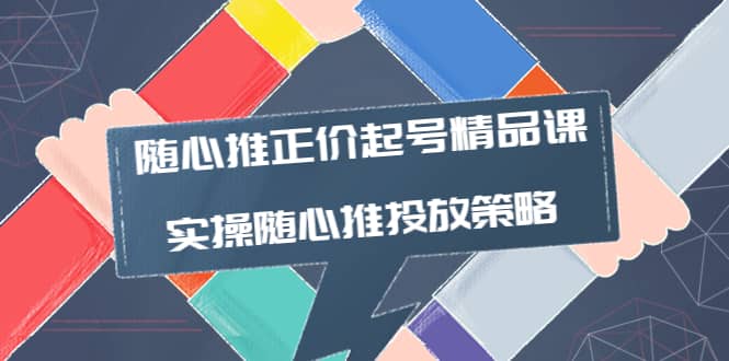 随心推正价起号精品课，实操随心推投放策略（5节课-价值298）-枫叶微课堂