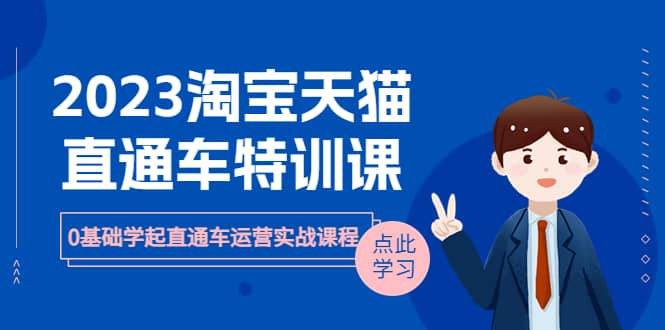 2023淘宝·天猫直通车评特训课，0基础学起直通车运营实战课程（8节课时）-枫叶微课堂