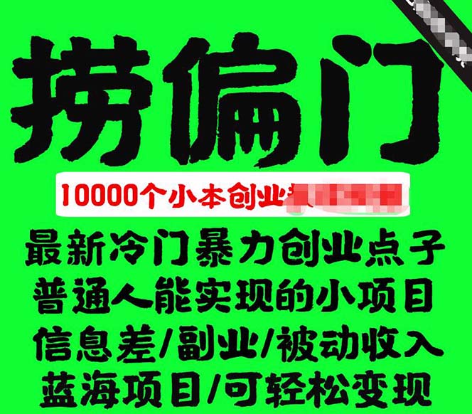 千款捞偏门小本创业小项目，总有一款适合你【无水印】-枫叶微课堂