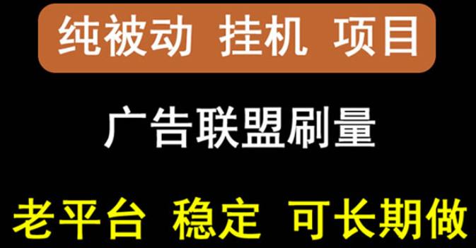 【稳定挂机】oneptp出海广告联盟挂机项目，每天躺赚几块钱，多台批量多赚些-枫叶微课堂