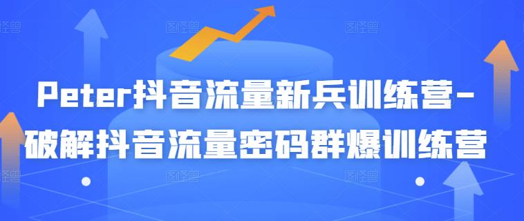 Peter抖音流量新兵训练营-破解抖音流量密码群爆训练营（新兵）-枫叶微课堂