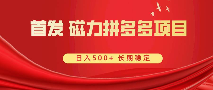 首发 磁力拼多多自撸  日入500+-枫叶微课堂