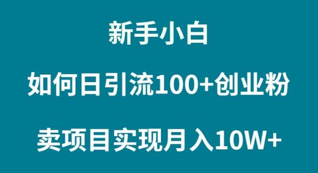 新手小白如何通过卖项目实现月入10W+-枫叶微课堂