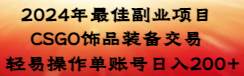 2024年最佳副业项目 CSGO饰品装备交易 轻易操作单账号日入200+-枫叶微课堂
