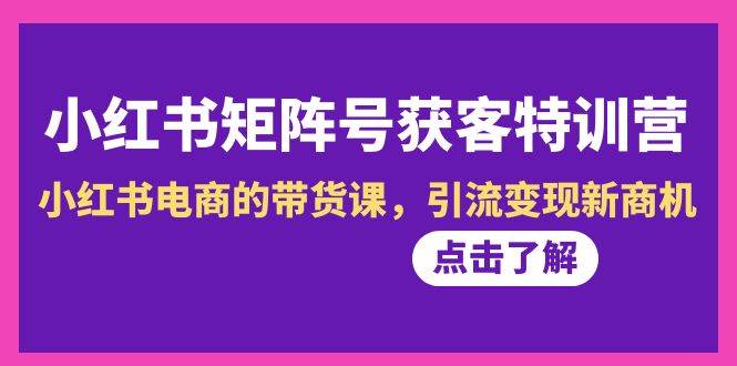 小红书-矩阵号获客特训营-第10期，小红书电商的带货课，引流变现新商机-枫叶微课堂