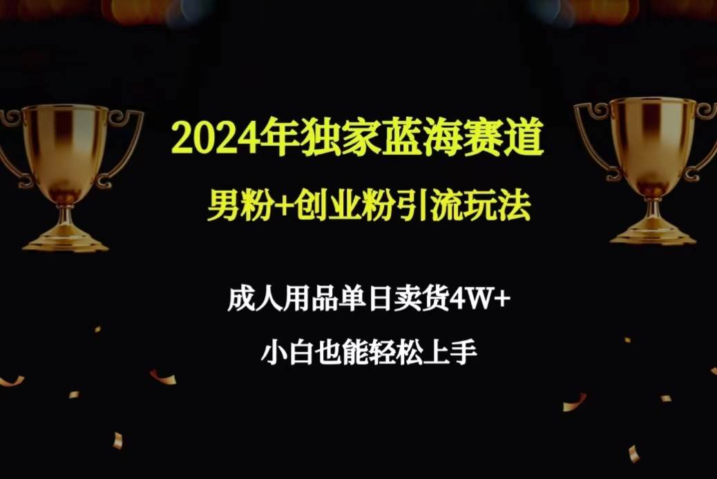 2024年独家蓝海赛道男粉+创业粉引流玩法，成人用品单日卖货4W+保姆教程-枫叶微课堂